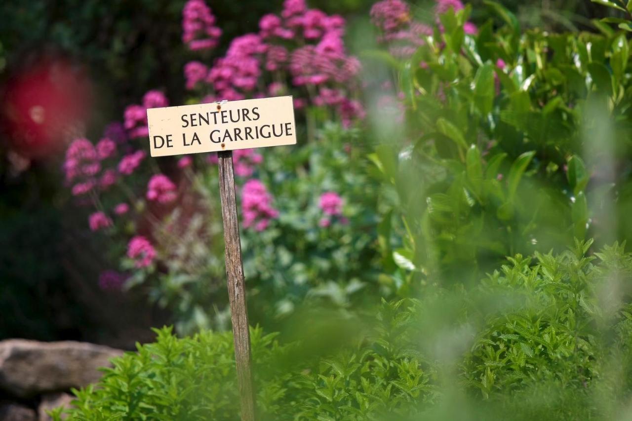 Maison De Village La Clemaline Figanieres Bagian luar foto