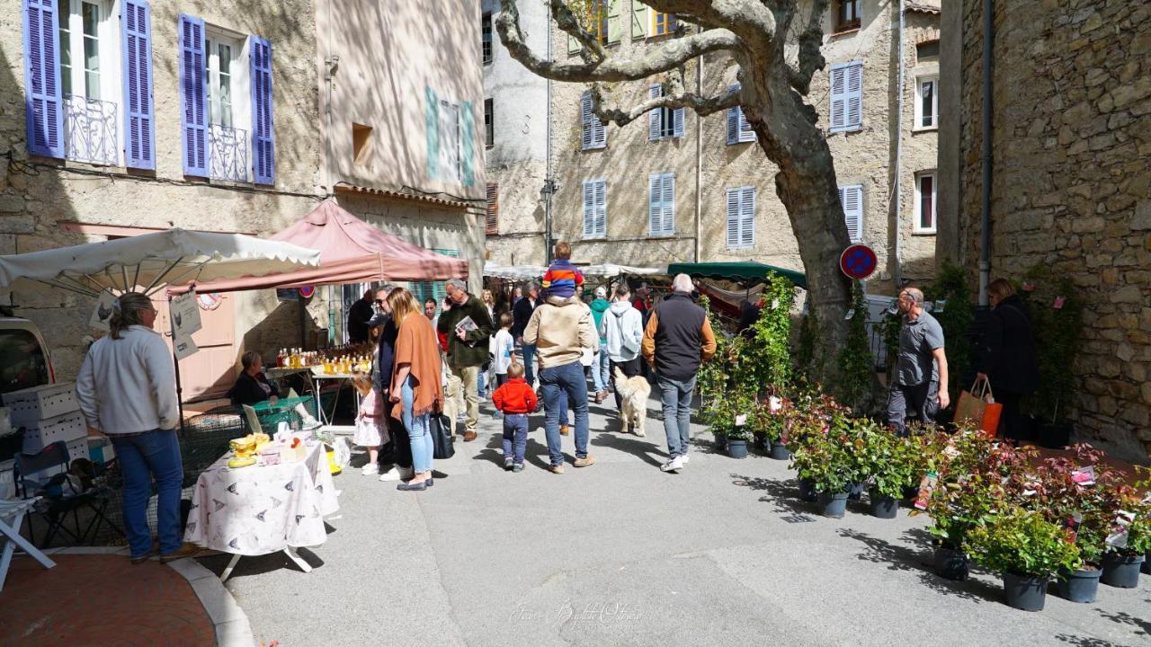 Maison De Village La Clemaline Figanieres Bagian luar foto